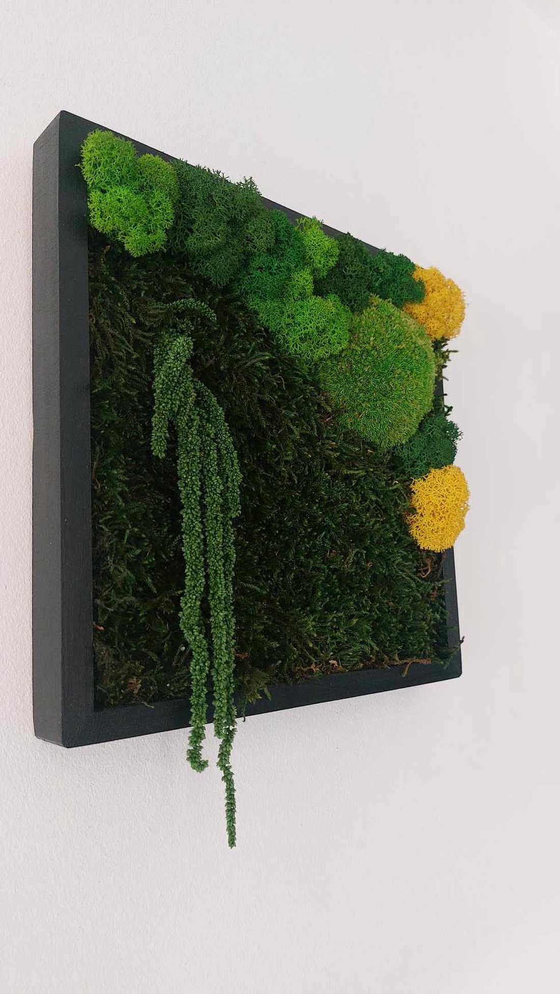 Tablou licheni, 25x25 cm - casă & stil de viață - decorațiuni de casă - decorațiuni de pereți - tablou cu licheni - Artynos.ro