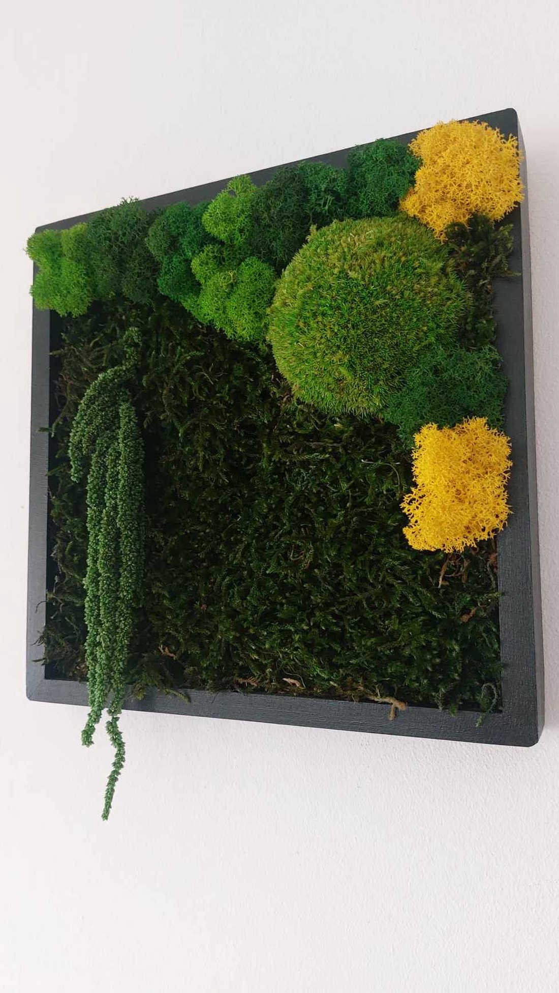 Tablou licheni, 25x25 cm - casă & stil de viață - decorațiuni de casă - decorațiuni de pereți - tablou cu licheni - Artynos.ro