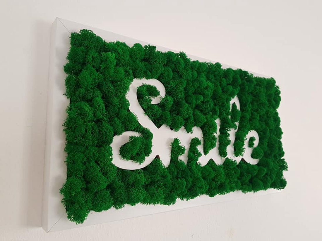 Tablou Smile, cu licheni - casă & stil de viață - decorațiuni de casă - decorațiuni de pereți - tablou cu licheni - Artynos.ro