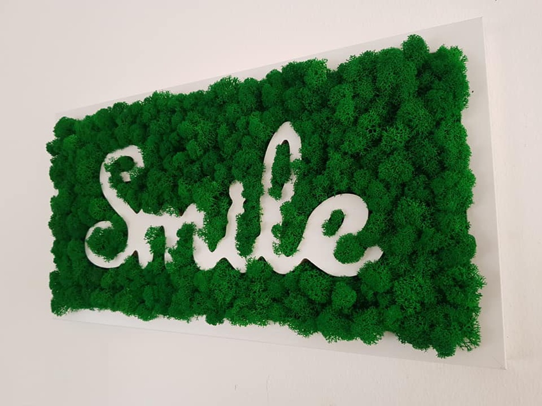 Tablou Smile, cu licheni - casă & stil de viață - decorațiuni de casă - decorațiuni de pereți - tablou cu licheni - Artynos.ro