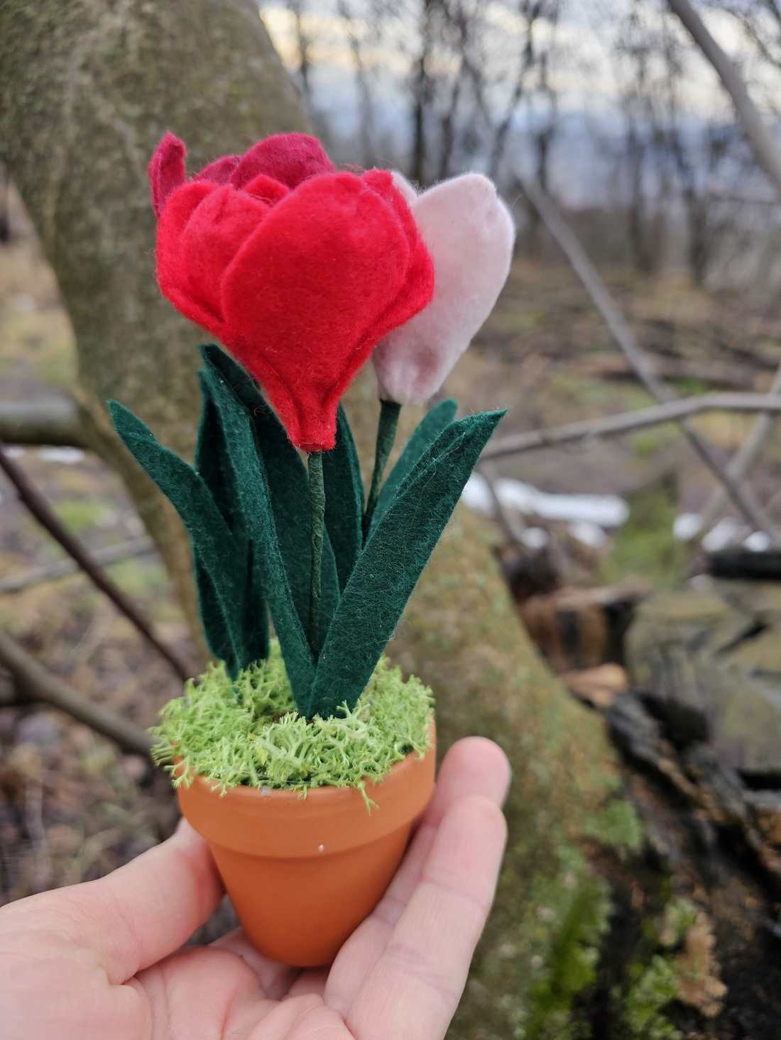 Decorațiune cu lalele - casă & stil de viață - decorațiuni de casă - accesorii florale - flori în ghiveci - Artynos.ro