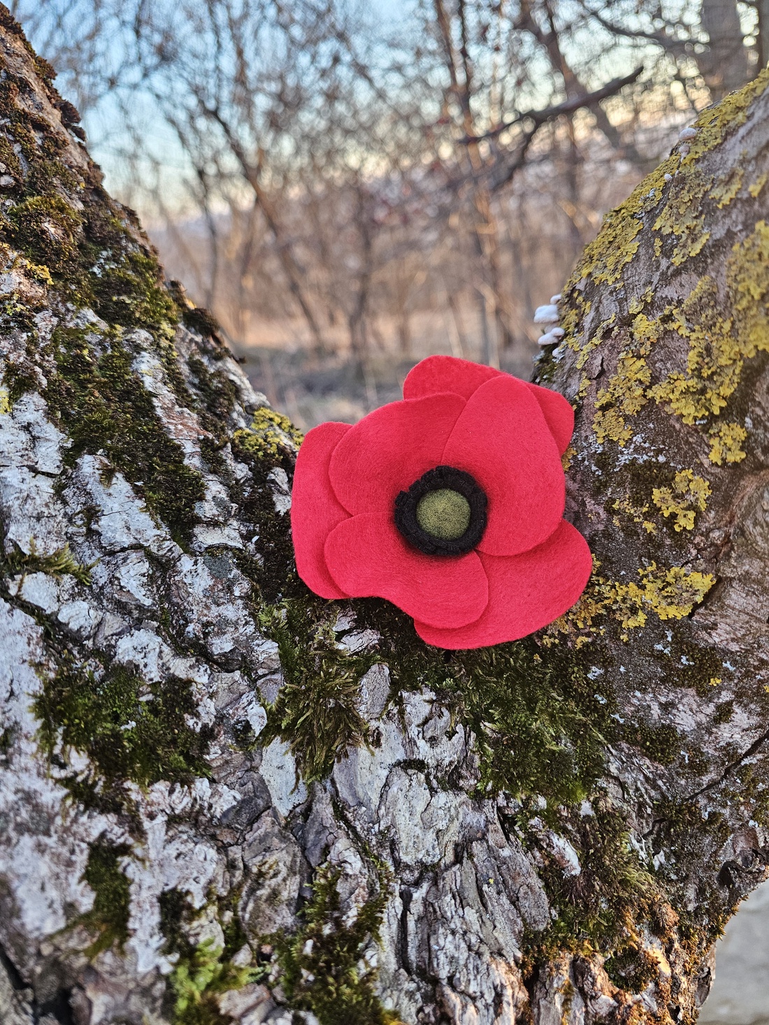 Broșă mac înflorit - bijuterii - broșe - Artynos.ro