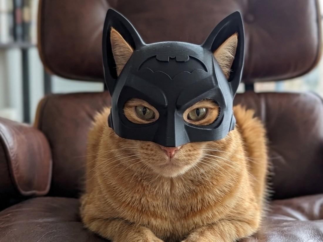 Masca Batman Cica -  - Artynos.ro