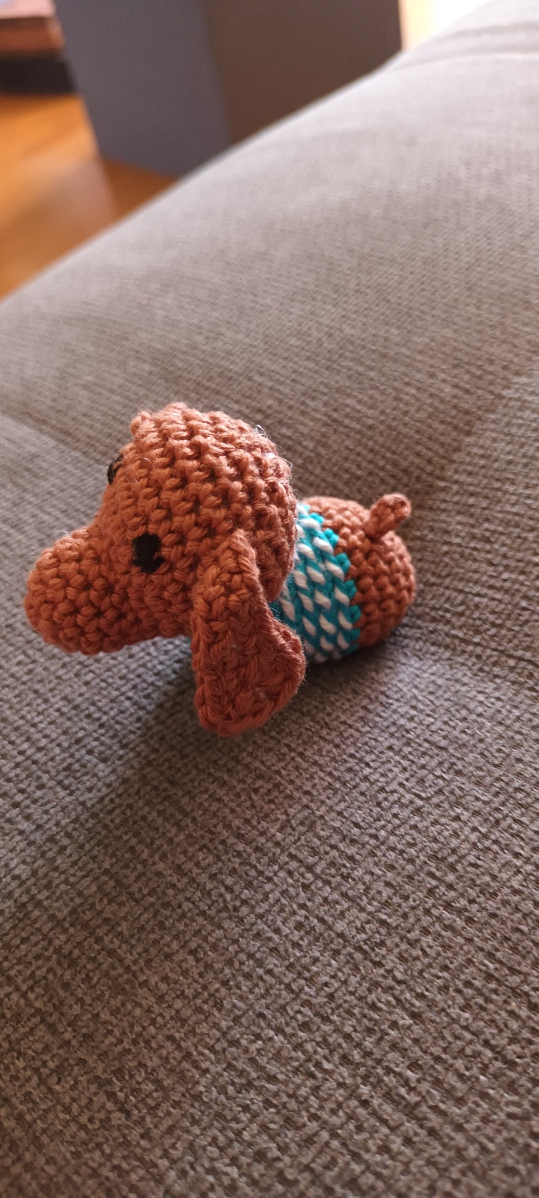 Mini dachshund în pulover -  - Artynos.ro