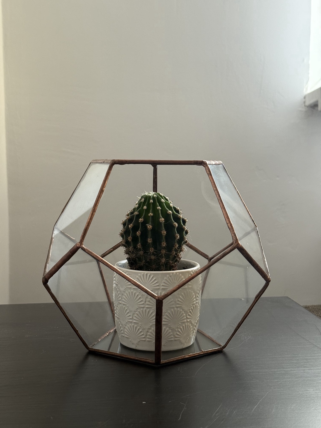 Terariu geometric din sticlă  decor versatil și modern - casă & stil de viață - accesorii pentru decorat casa - decorațiuni de masă și decorațiuni pentru rafturi  - sticle ornamentale - Artynos.ro