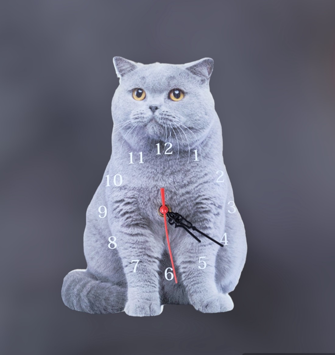 Ceas de perete cu pisoi - casă & stil de viață - accesorii pentru decorat casa - decorațiuni de pereți, decorațiuni suspendate - ceasuri de perete - Artynos.ro Ceas de perete cu pisoi - casă & stil de viață - accesorii pentru decorat casa - decorațiuni de pereți, decorațiuni suspendate - ceasuri de perete - Artynos.ro