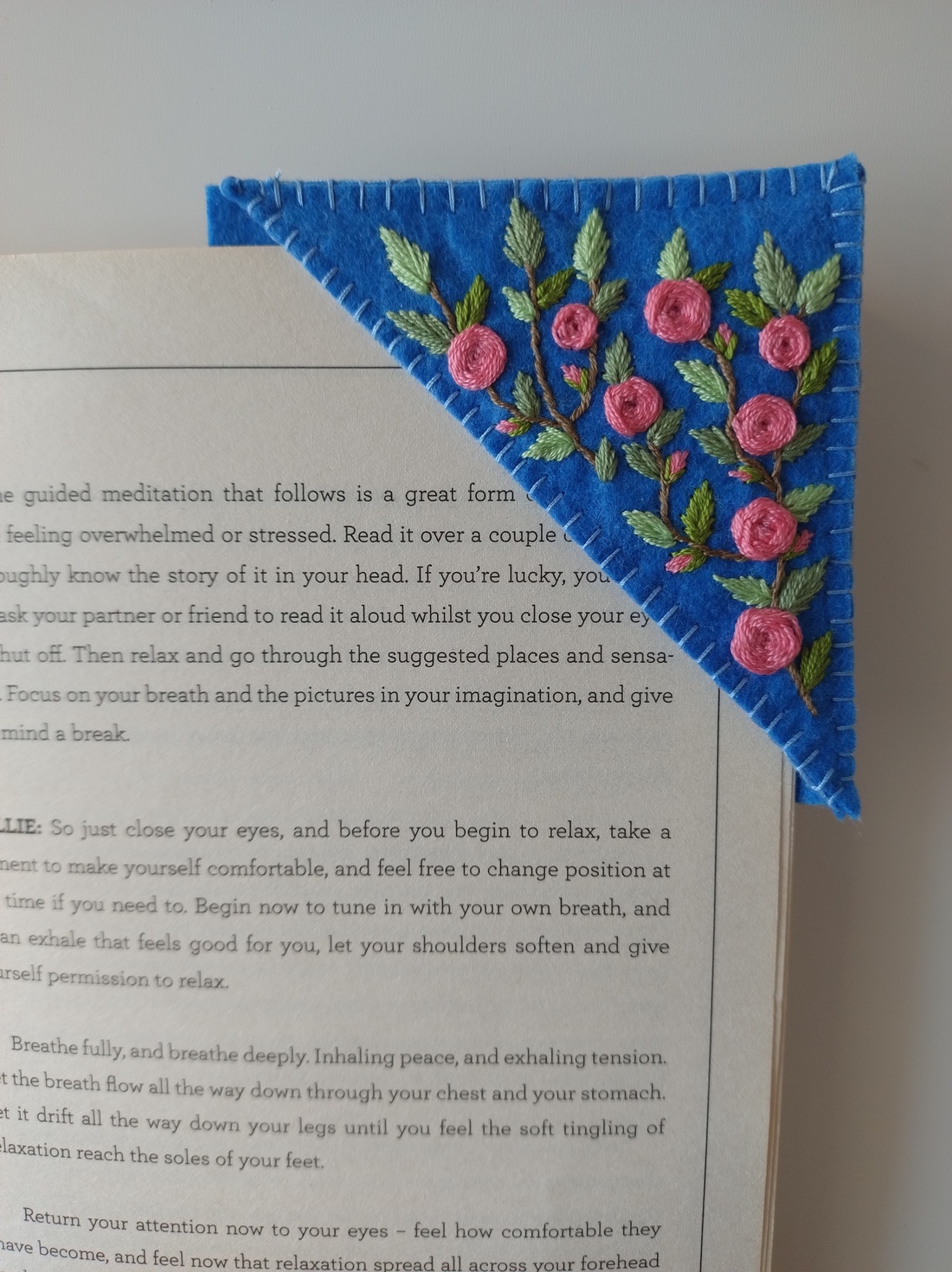 Semn de carte  - arte vizuale și accesorii  - cărți de calendar, cărți sport - Artynos.ro