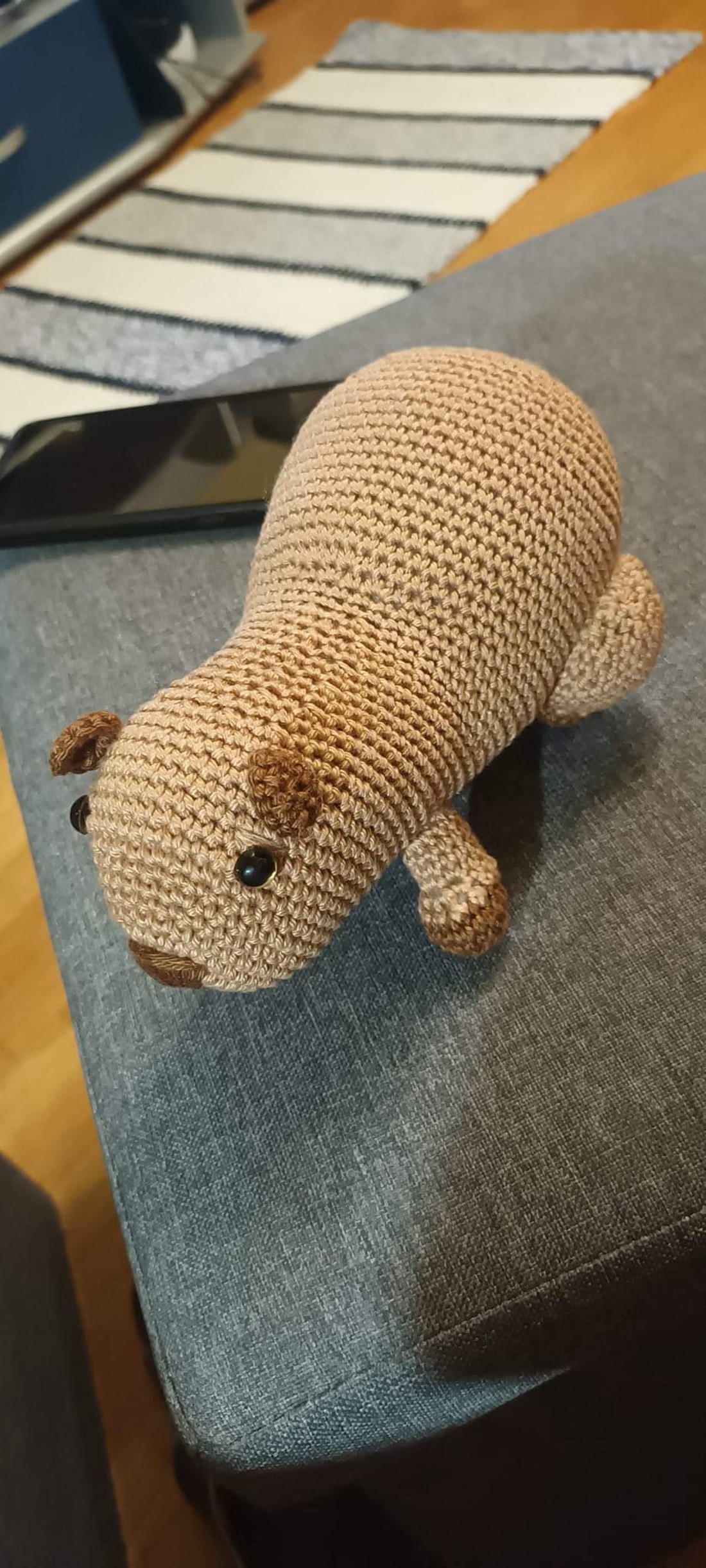 Capybara - - Artynos.ro Capybara - - Artynos.ro