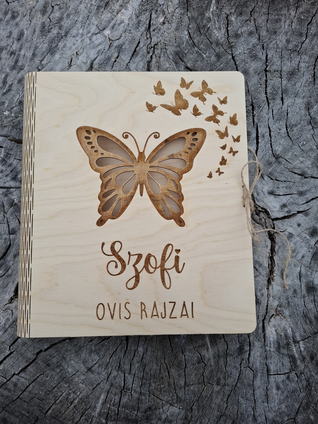 Dosar unic pentru desene  -  - Artynos.ro