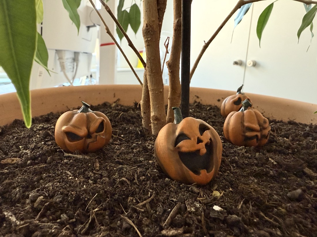 Mini dovlecei pentru decorațiuni de Halloween și de toamnă - casă & stil de viață - decorațiuni de casă - halloween - tot ce ai nevoie de o petrecere! - dovleac de halloween - Artynos.ro