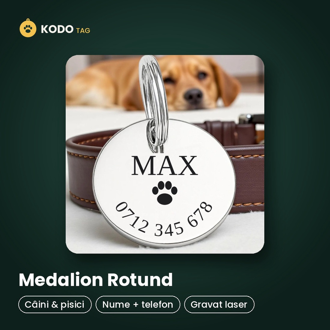 Medalion personalizat pentru caini - casă & stil de viață - accesorii pentru animale  - echipamente pentru câini - pandativ câini - Artynos.ro