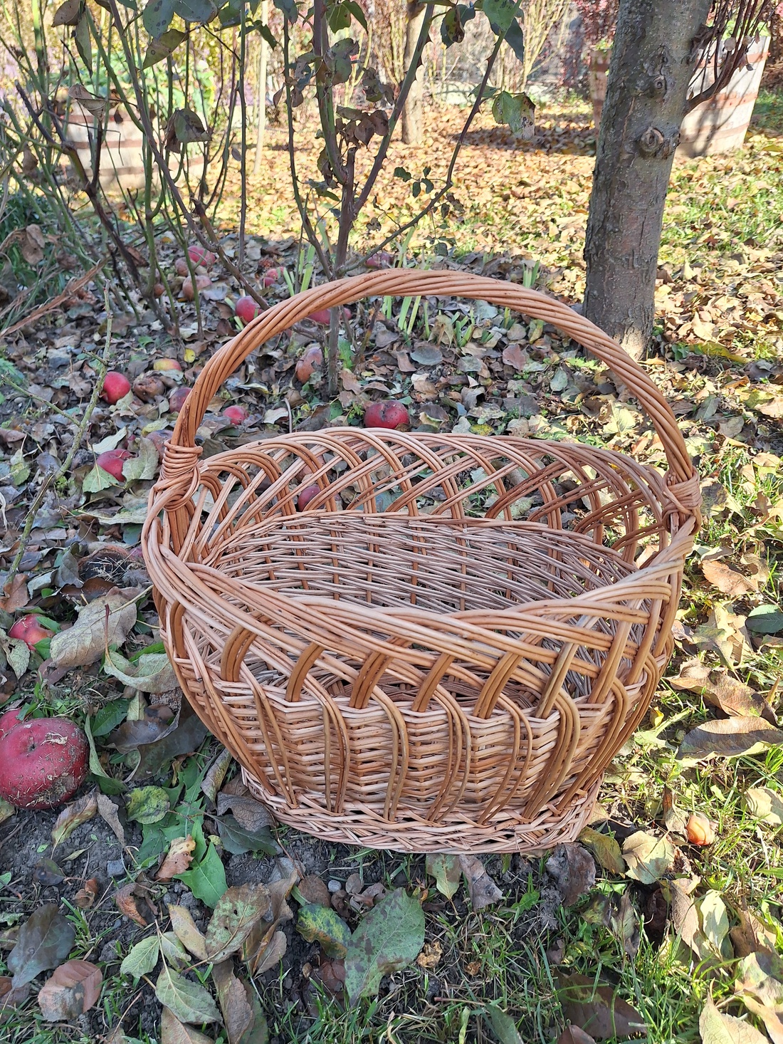 Coș cumpărături rachita - oval dantelat, coș picnic împletit - KT-002 - casă & stil de viață - organizare & depozitare - coșuri depozitare - Artynos.ro
