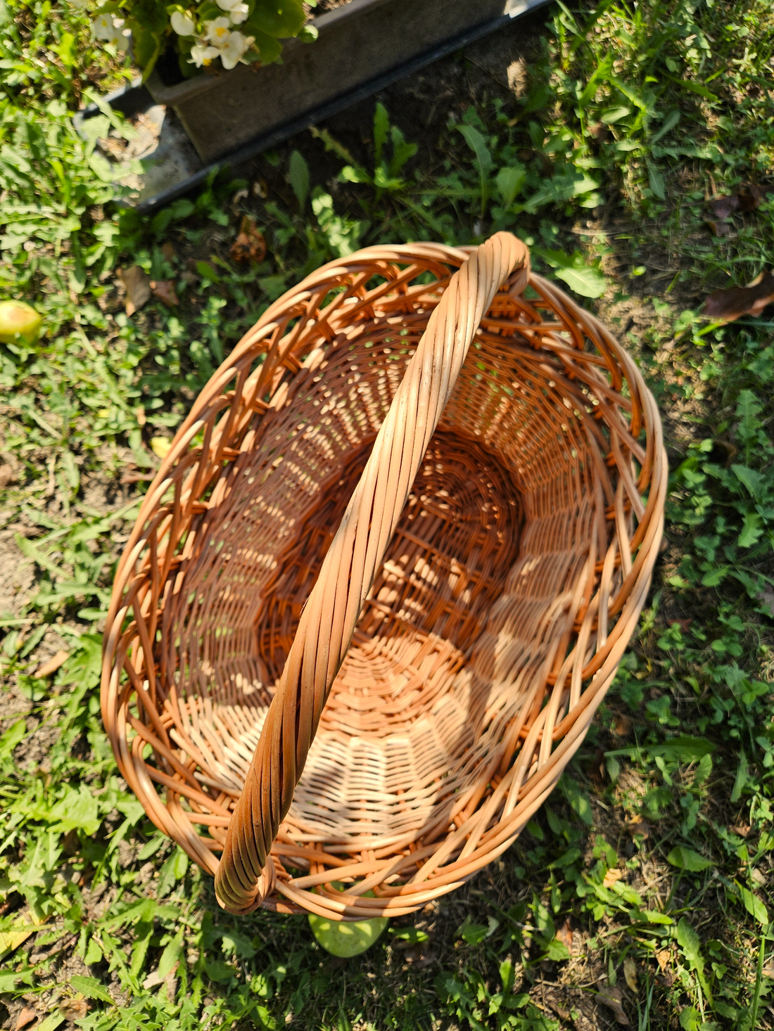 Coș cumpărături rachita - oval dantelat, coș picnic împletit - KT-002 - casă & stil de viață - organizare & depozitare - coșuri depozitare - Artynos.ro