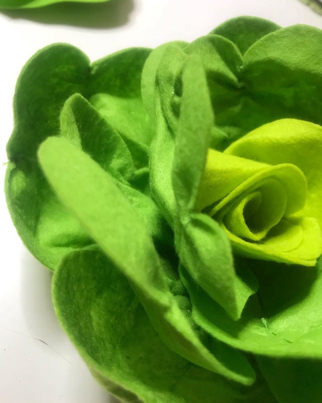 Feluri de mâncare cu file - Salată - - Artynos.ro Feluri de mâncare cu file - Salată - - Artynos.ro