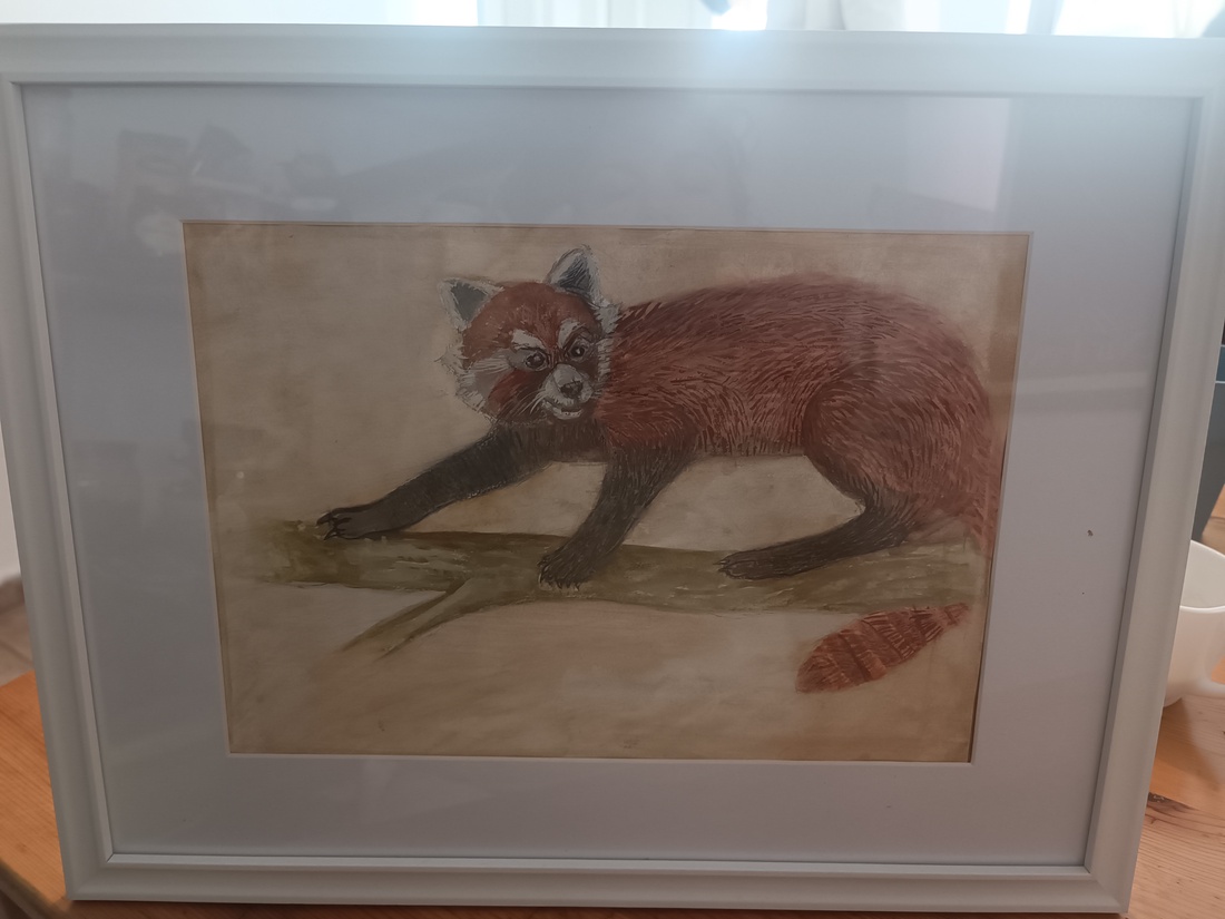 Panda Rosu - arte vizuale și accesorii - grafică, ilustrație - alte desene - Artynos.ro Panda Rosu - arte vizuale și accesorii - grafică, ilustrație - alte desene - Artynos.ro