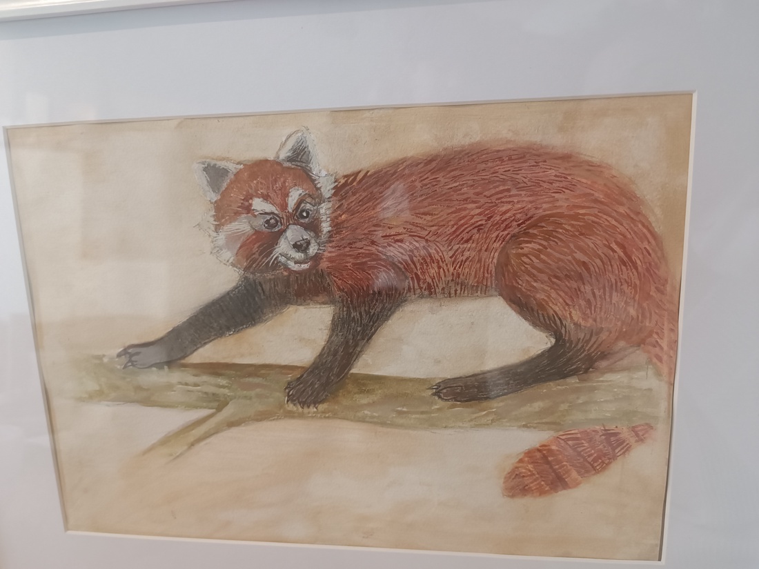 Panda Rosu - arte vizuale și accesorii - grafică, ilustrație - alte desene - Artynos.ro Panda Rosu - arte vizuale și accesorii - grafică, ilustrație - alte desene - Artynos.ro
