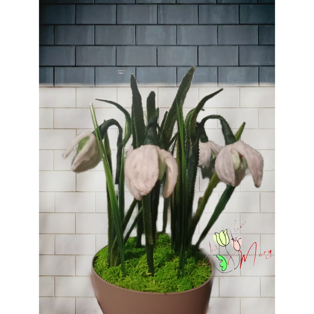 Ghiocei Ghiveci  - casă & stil de viață - decorațiuni de casă - accesorii florale - flori în ghiveci - Artynos.ro