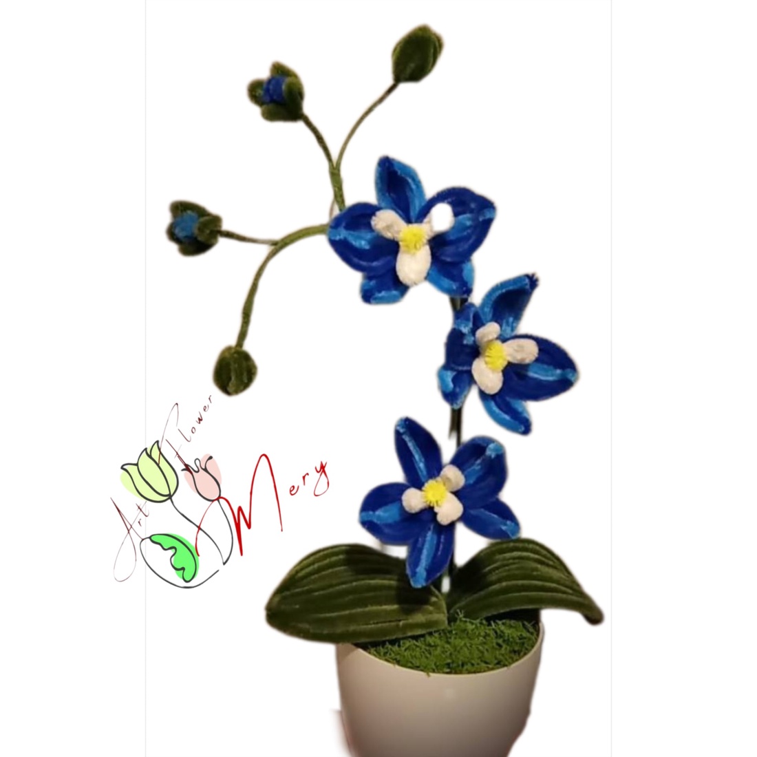 Orhidee Ghiveci 1 tija - casă & stil de viață - decorațiuni de casă - accesorii florale - flori în ghiveci - Artynos.ro