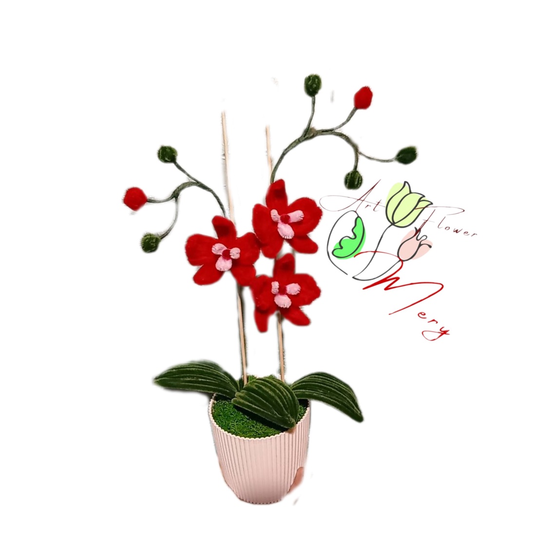 Orhidee Ghiveci 2 tije - casă & stil de viață - decorațiuni de casă - accesorii florale - flori în ghiveci - Artynos.ro