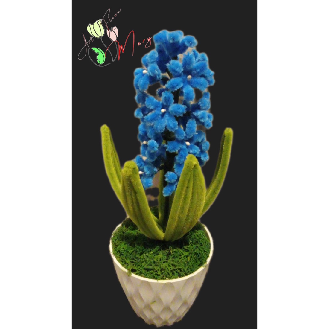 Zambila ghiveci  - casă & stil de viață - decorațiuni de casă - accesorii florale - flori în ghiveci - Artynos.ro