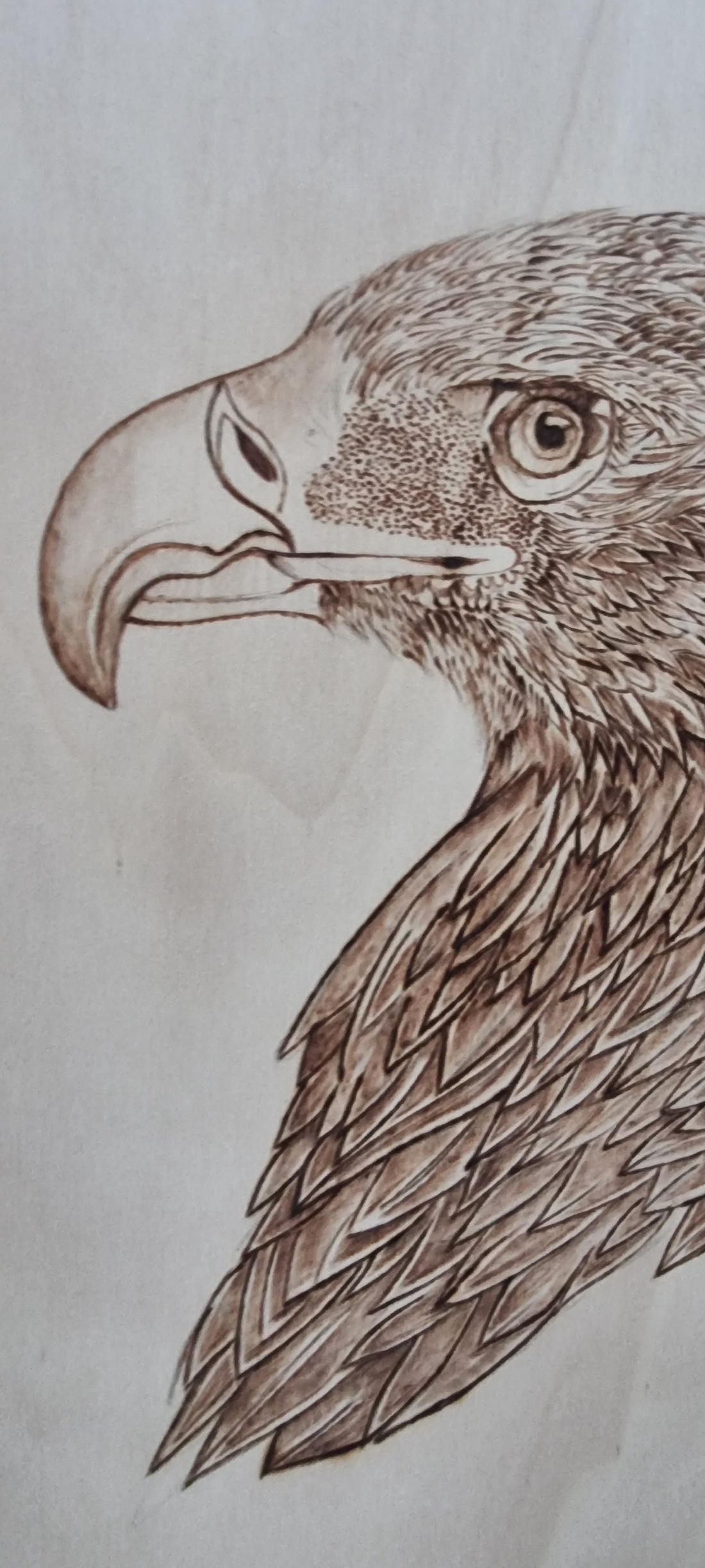 American Eagle - casă & stil de viață - decorațiuni de casă - picturi murale - Artynos.ro