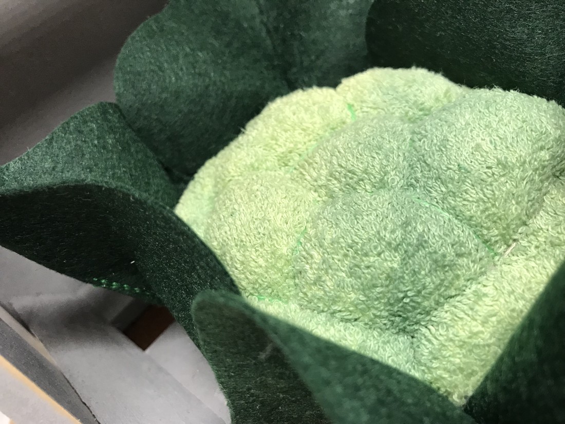 Feluri de mâncare cu file - Broccoli -  - Artynos.ro