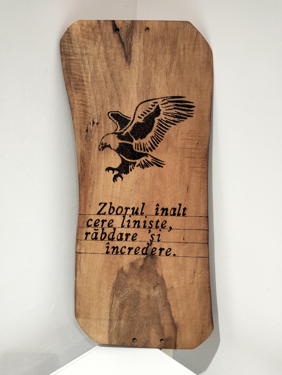 Platou lemn masiv - casă & stil de viață - accesorii pentru echipamente de bucătărie - accesorii de servire - boluri și farfurii din lemn, bol de servire - Artynos.ro Platou lemn masiv - casă & stil de viață - accesorii pentru echipamente de bucătărie - accesorii de servire - boluri și farfurii din lemn, bol de servire - Artynos.ro