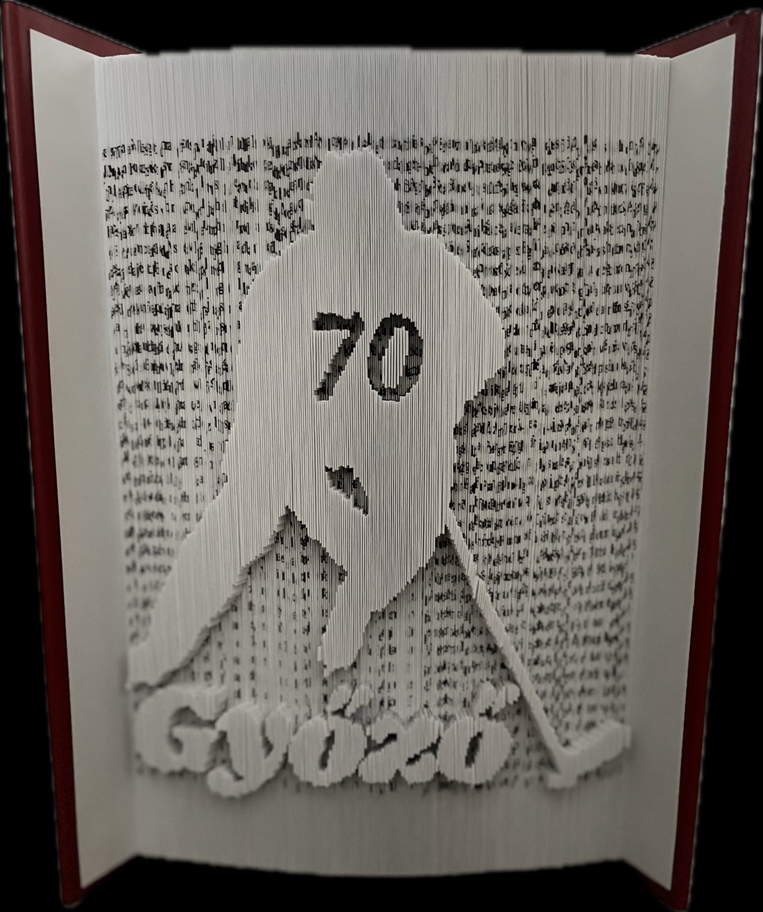 Sculptură carte hochei personalizată - casă & stil de viață - accesorii pentru decorat casa - decorațiuni de masă și decorațiuni pentru rafturi  - sculptură de carte, carte pliată - Artynos.ro