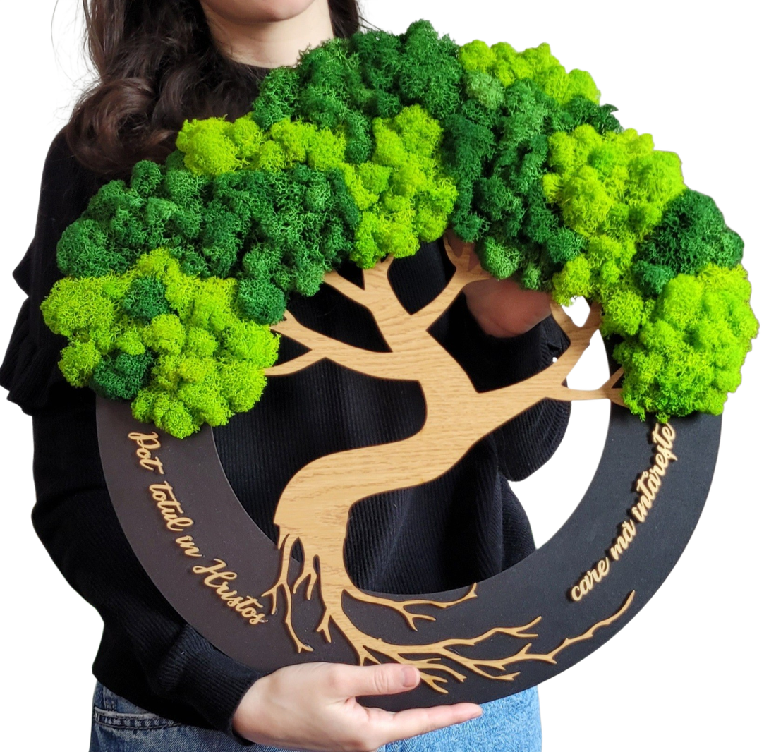 Tablou cu mesaj crestin din licheni- Pot totul in Hristos...- mesaj personalizabil - casă & stil de viață - decorațiuni de casă - decorațiuni de pereți - tablou cu licheni - Artynos.ro