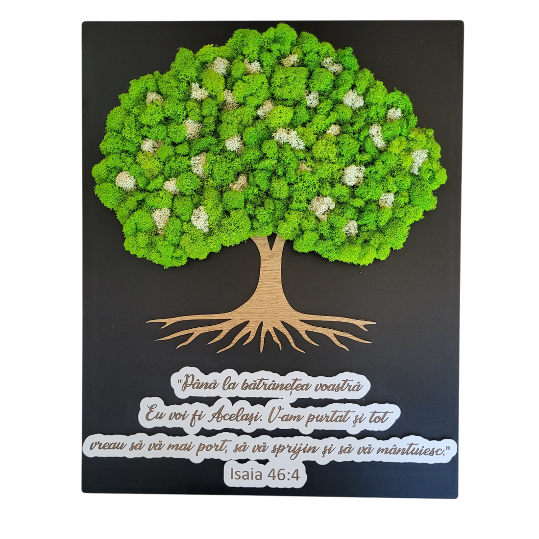 Tablou Verde Premium cu Licheni - casă & stil de viață - decorațiuni de casă - decorațiuni de pereți - tablou cu licheni - Artynos.ro