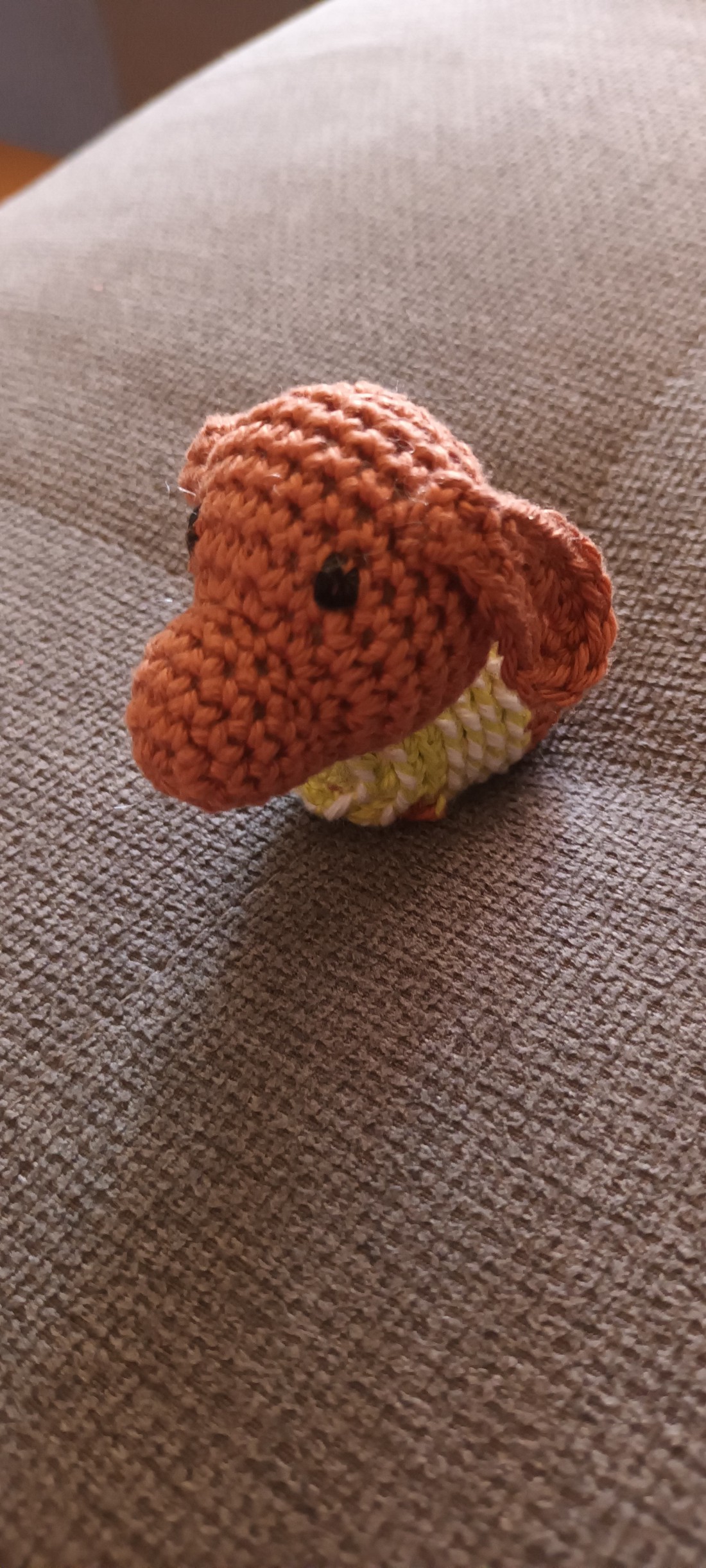 Mini dachshund în pulover -  - Artynos.ro