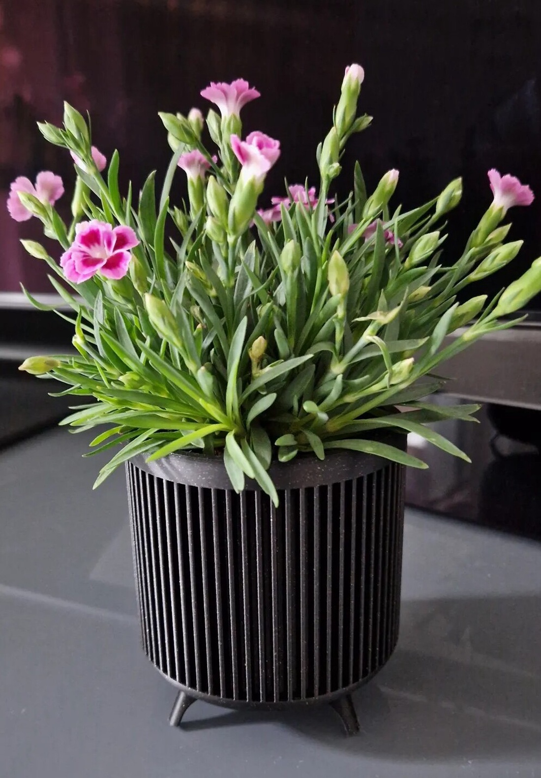 Ghiveci de flori 3D cu picioare - casă & stil de viață - accesorii pentru decorat casa - suport de flori - ghiveci și jardiniere - Artynos.ro