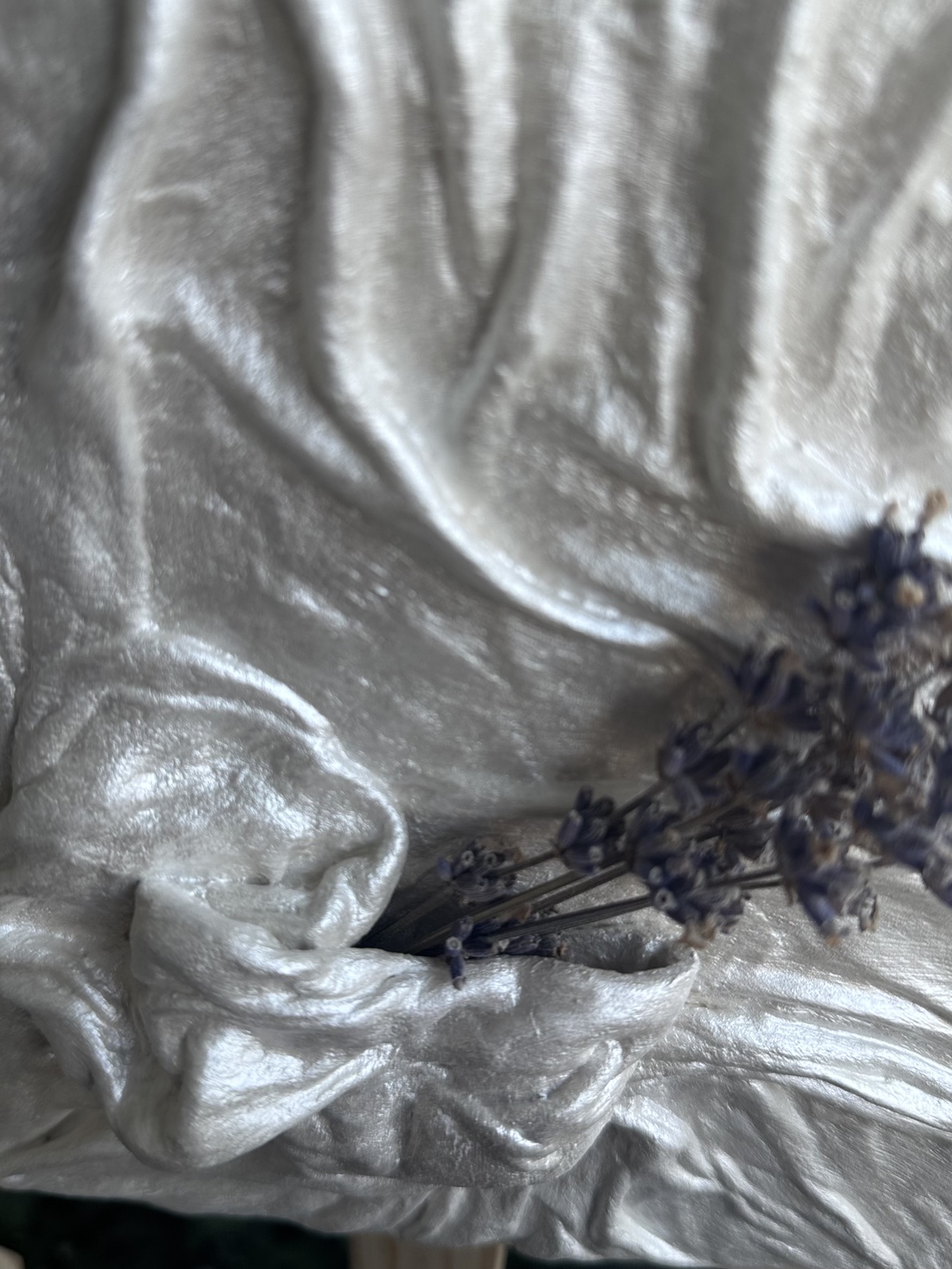 Tablou handmade cu suport de planta decorativa - arte vizuale și accesorii  - picturi - pictură acrilică - Artynos.ro