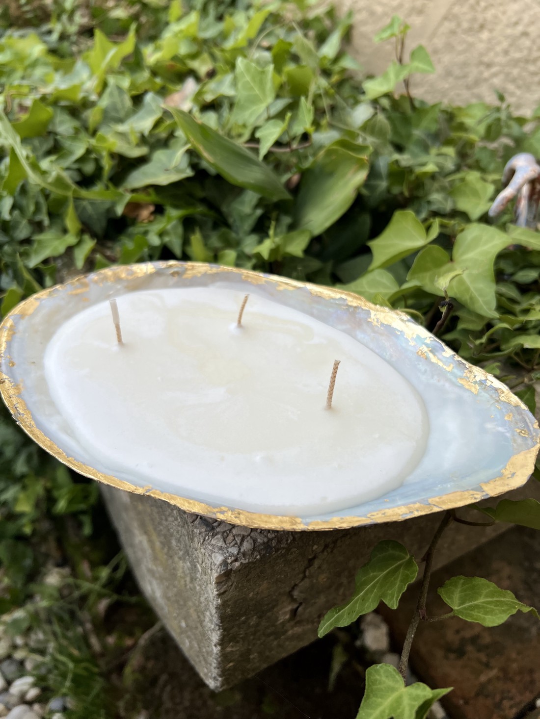 Lumânare unică cu scoici de lac - Lumânare artizanală din materiale naturale -  - Artynos.ro