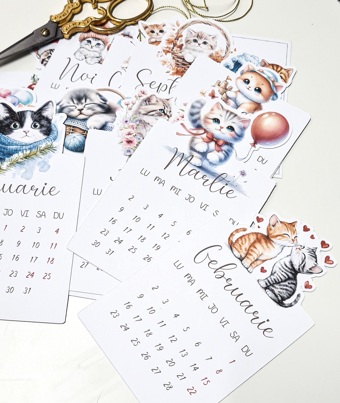 Calendar 2026 - arte vizuale și accesorii  - cărți de calendar, cărți sport - Artynos.ro