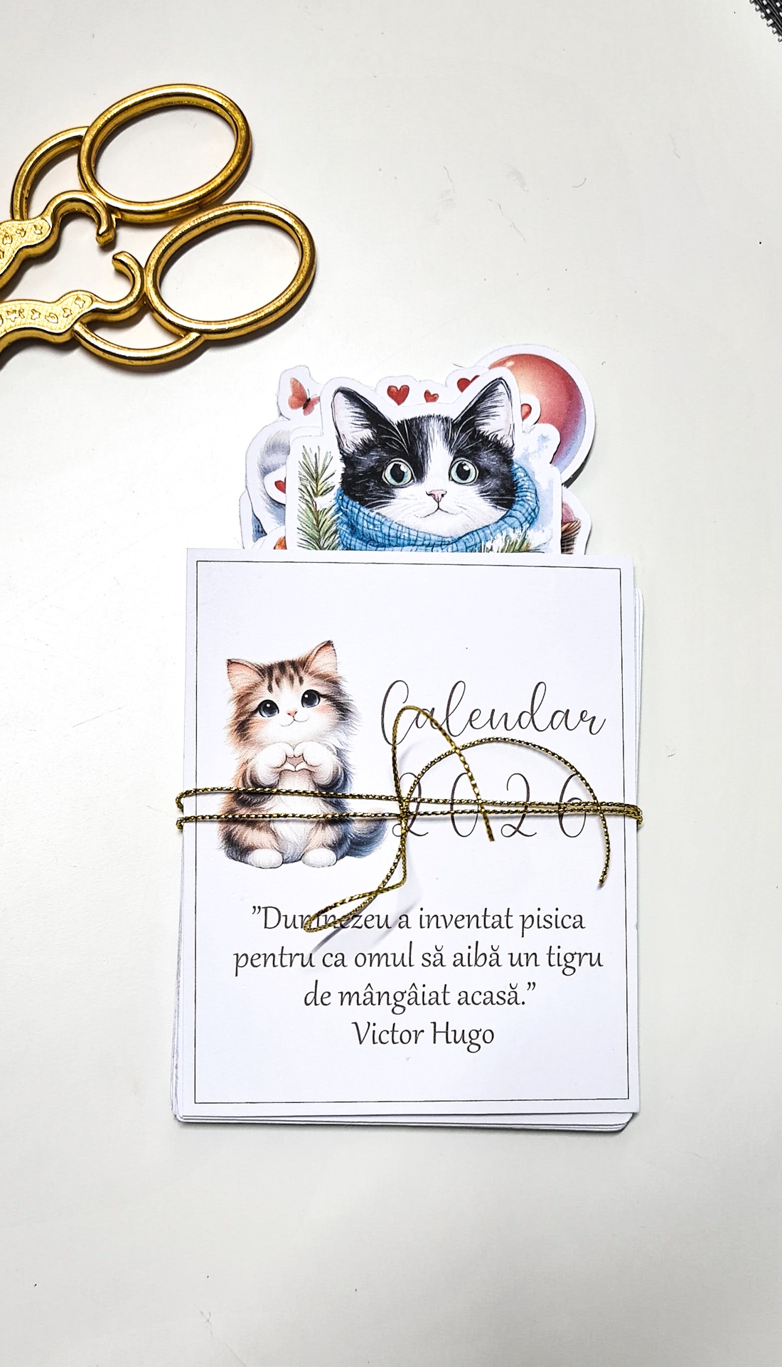 Calendar 2026 - arte vizuale și accesorii  - cărți de calendar, cărți sport - Artynos.ro