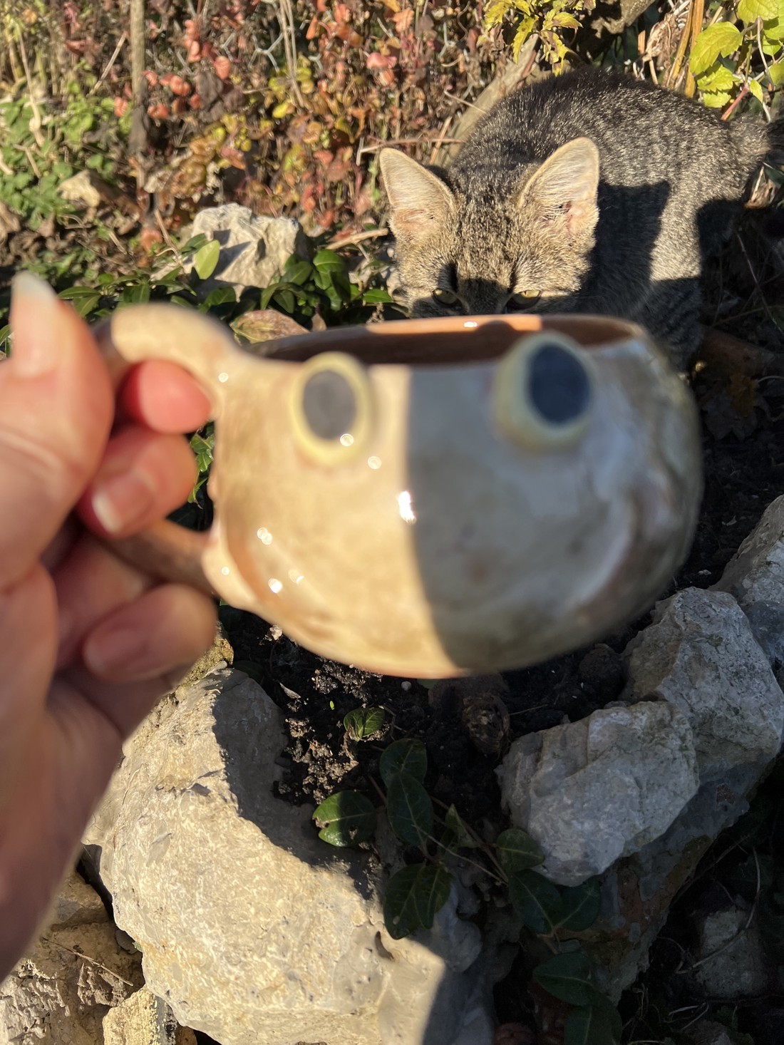 Cană cu broască fericită - cadou perfect, aproximativ 300 ml - casă & stil de viață - accesorii pentru echipamente de bucătărie - accesorii de servire - căni - Artynos.ro