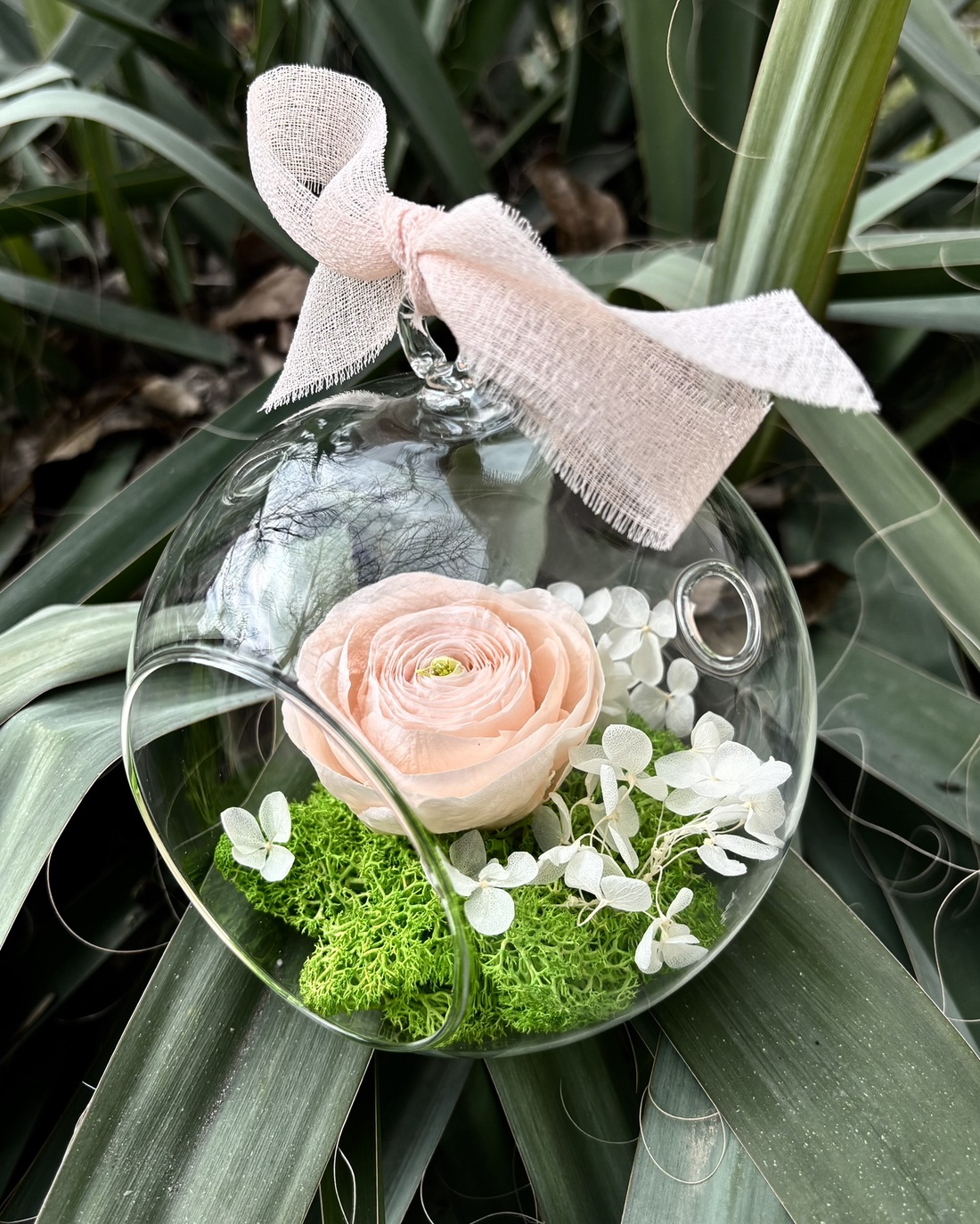 Terariu flori naturale - Ranunculus Garden - casă & stil de viață - decorațiuni de casă - accesorii florale - buchete de flori - Artynos.ro