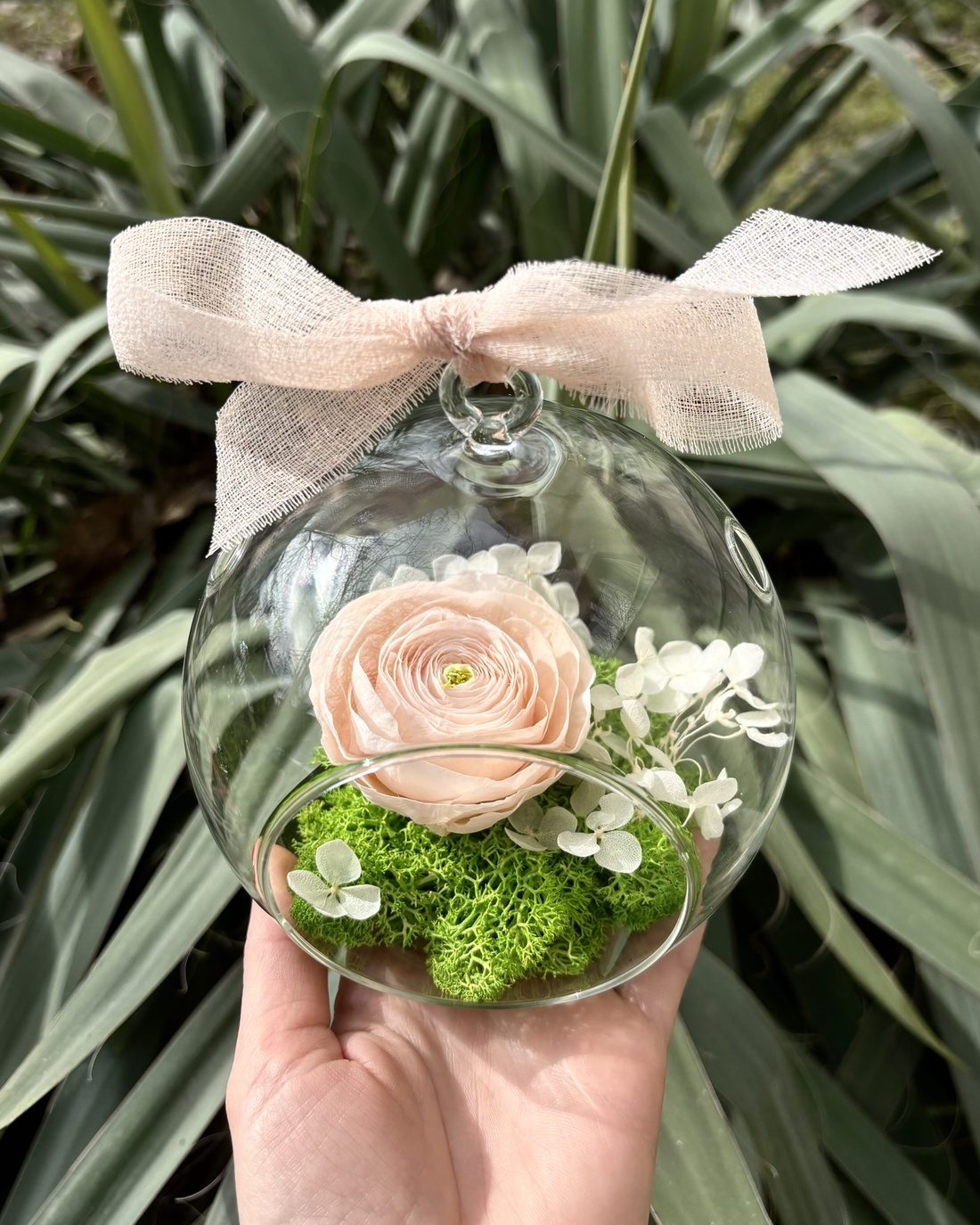 Terariu flori naturale - Ranunculus Garden - casă & stil de viață - decorațiuni de casă - accesorii florale - buchete de flori - Artynos.ro