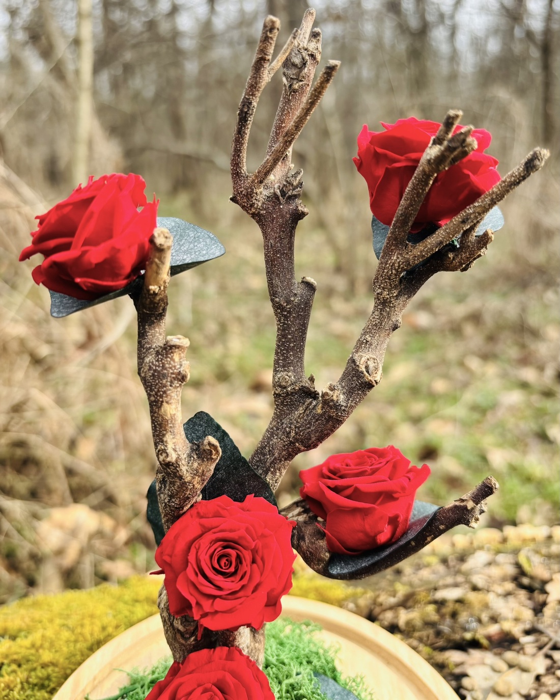 Cupola flori naturale - Love Tree - casă & stil de viață - decorațiuni de casă - accesorii florale - cutii cu flori - Artynos.ro