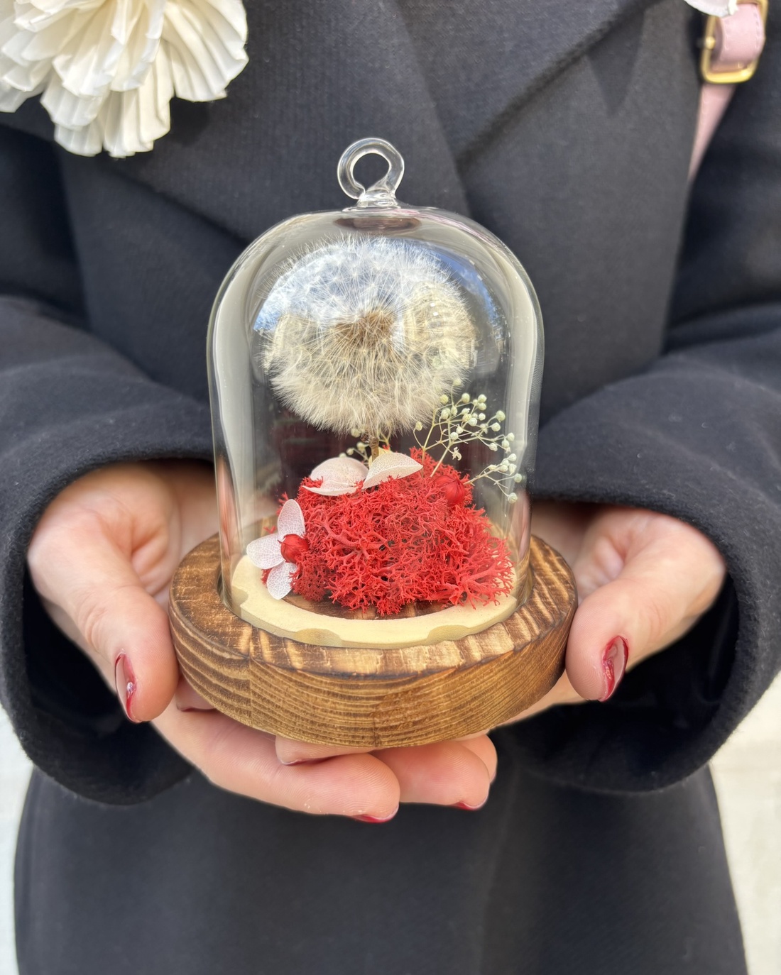 Cupola flori naturale - Dandelion Dream - casă & stil de viață - decorațiuni de casă - accesorii florale - cutii cu flori - Artynos.ro