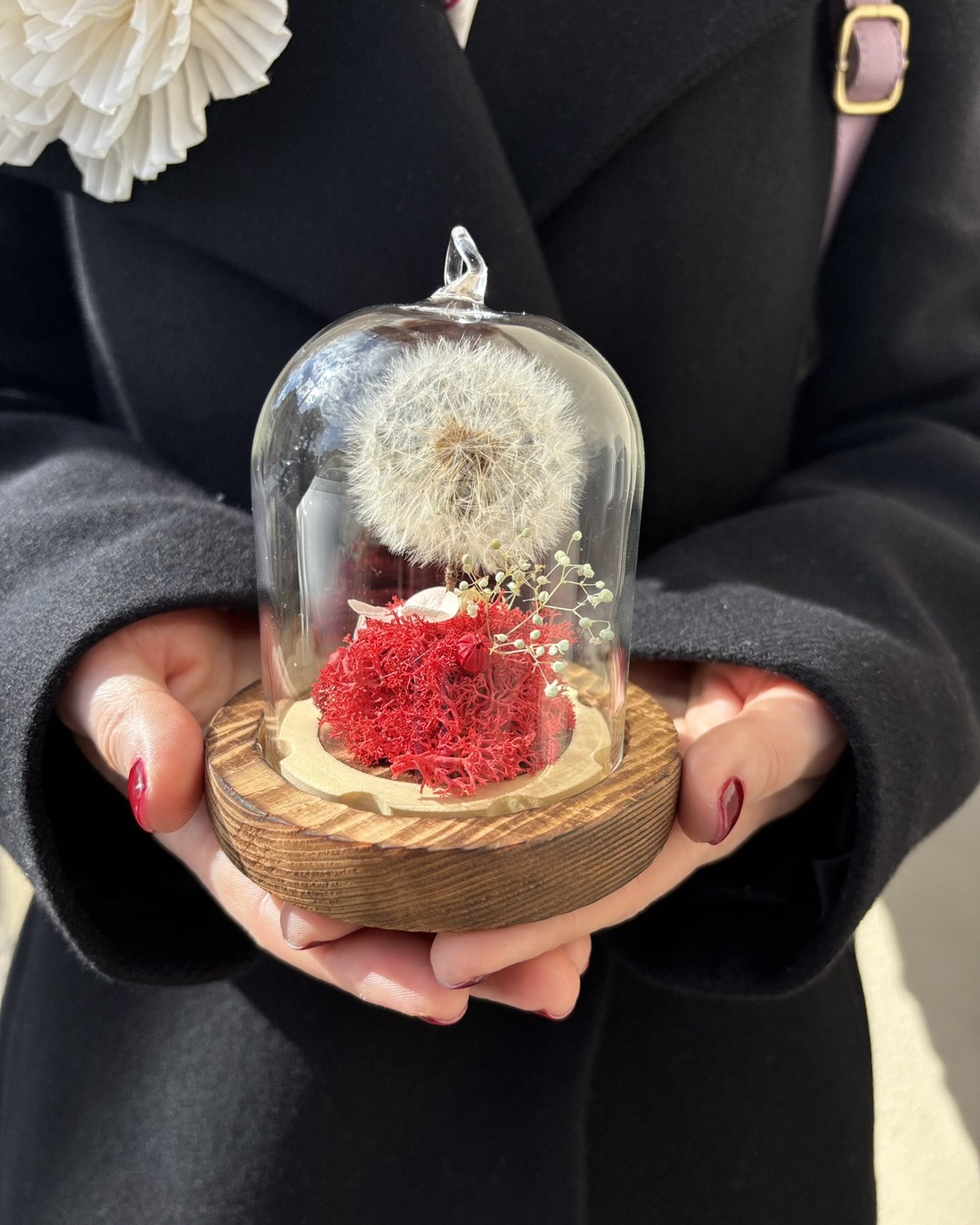 Cupola flori naturale - Dandelion Dream - casă & stil de viață - decorațiuni de casă - accesorii florale - cutii cu flori - Artynos.ro