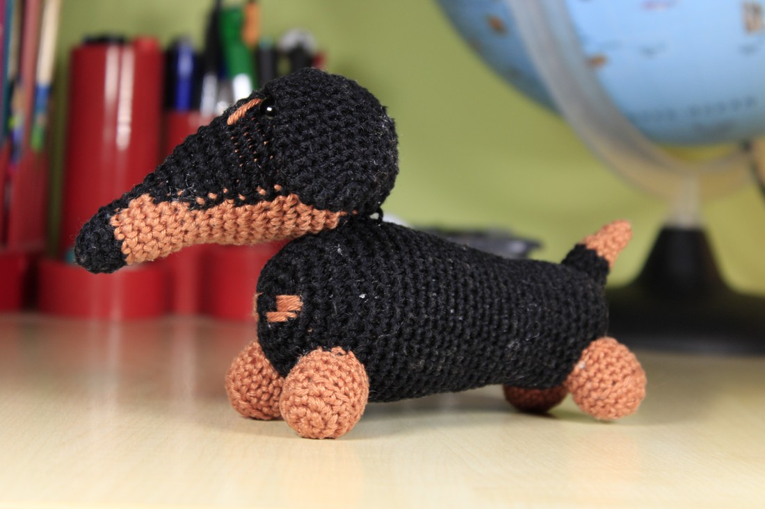 Cățeluș Dachshund -  - Artynos.ro