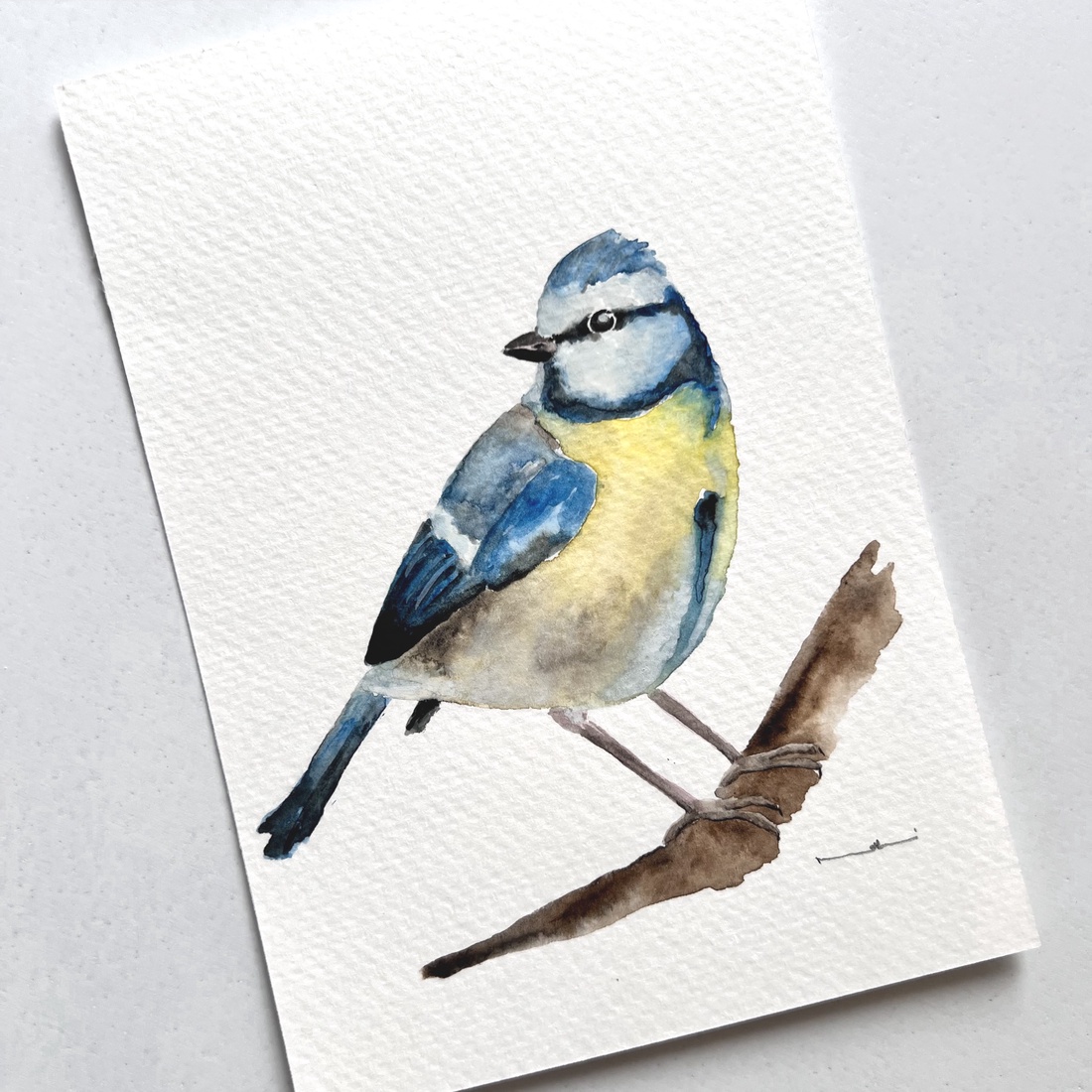 Pictură originală cu pasăre acuarelă - arte vizuale și accesorii  - picturi - acuarele picturi - Artynos.ro