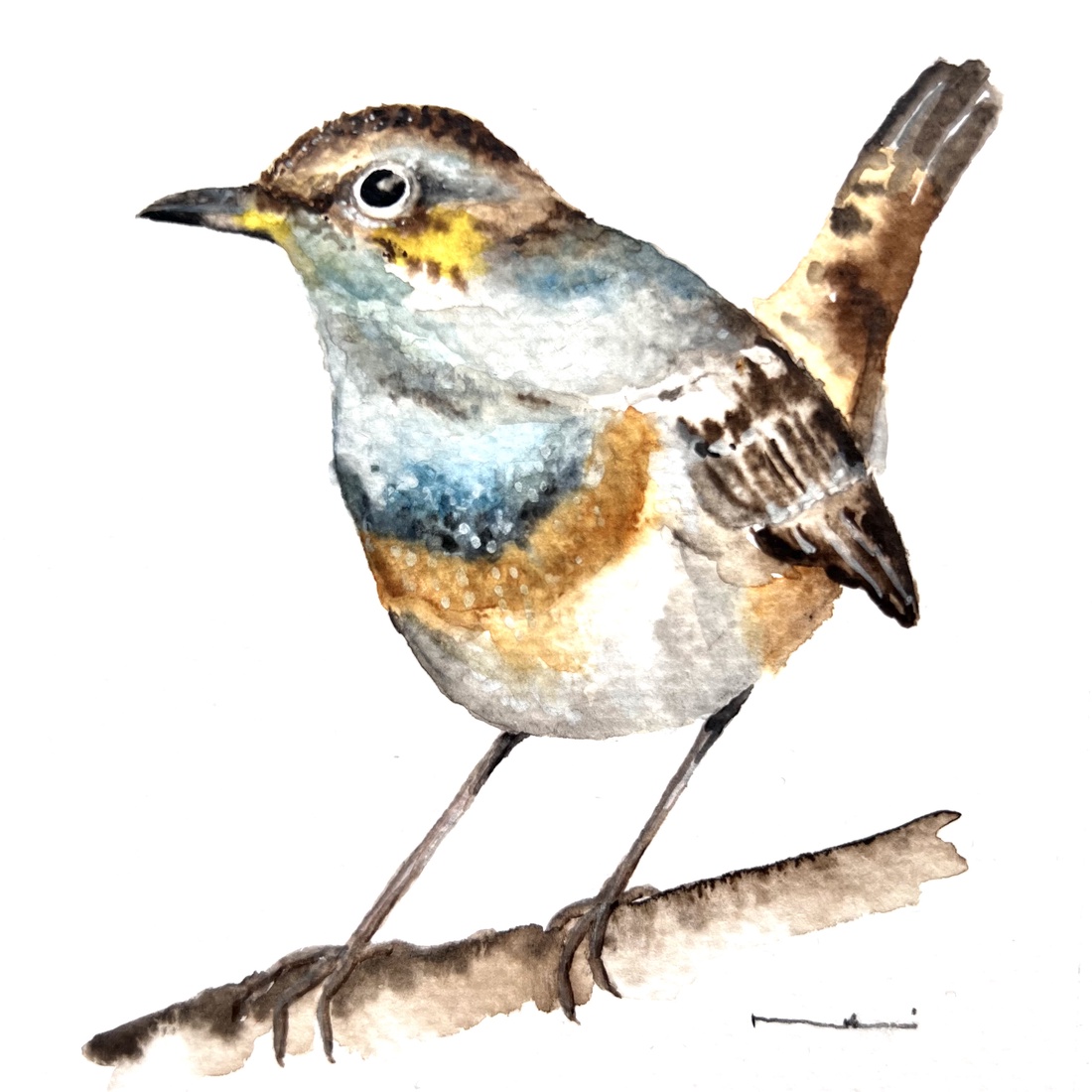 Pictură originală cu pasăre acuarelă - arte vizuale și accesorii  - picturi - acuarele picturi - Artynos.ro