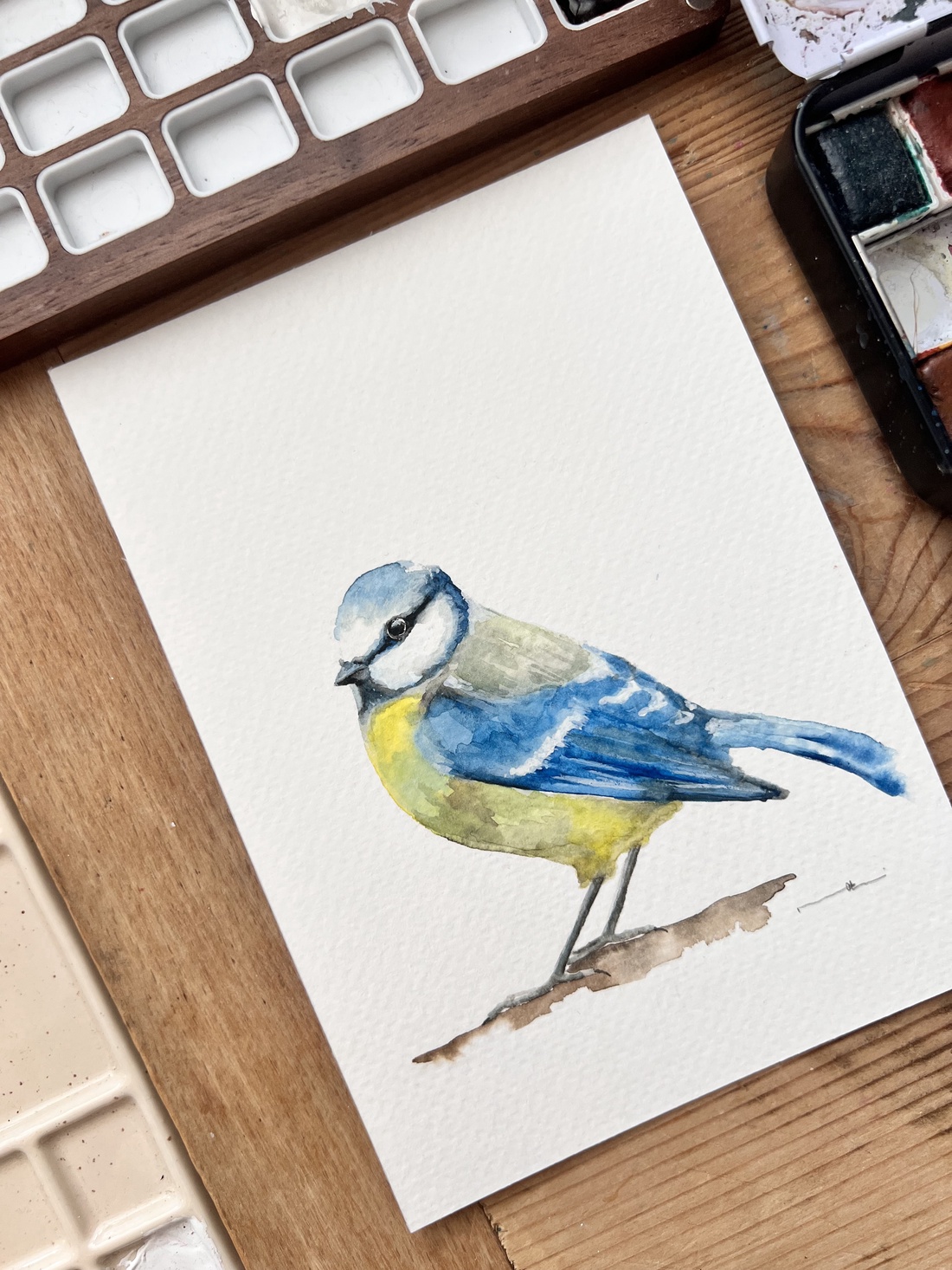 pictură originală în acuarelă de pi�igoi pasăre - arte vizuale și accesorii  - picturi - acuarele picturi - Artynos.ro