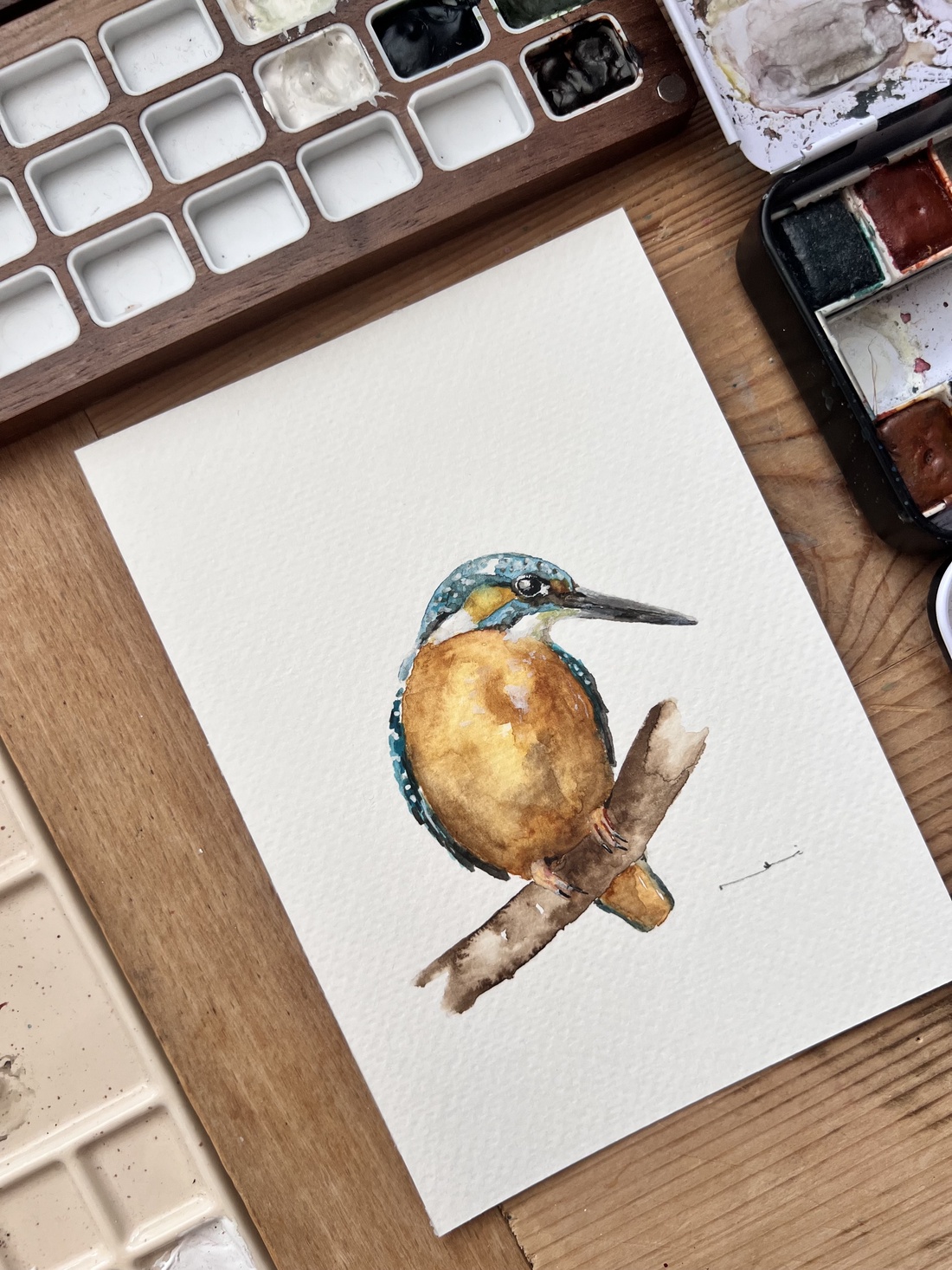 pictură originală în acuarelă de pasăre, pescăru� - arte vizuale și accesorii  - picturi - acuarele picturi - Artynos.ro