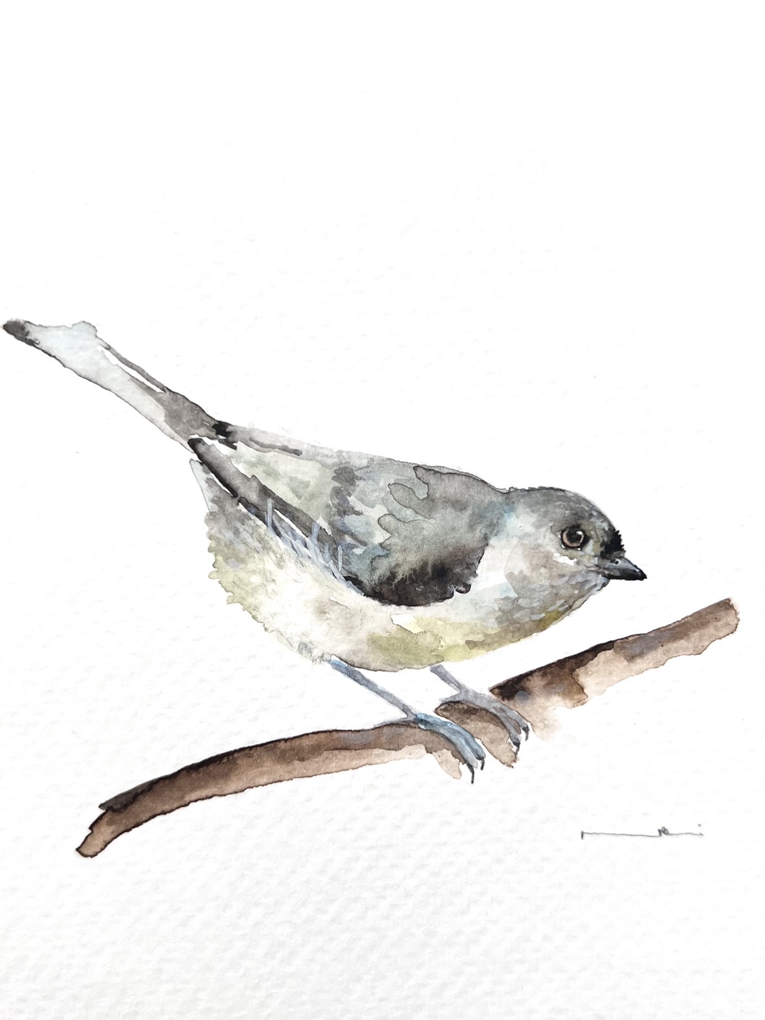 pictură originală în acuarelă de pasăre - arte vizuale și accesorii  - picturi - acuarele picturi - Artynos.ro