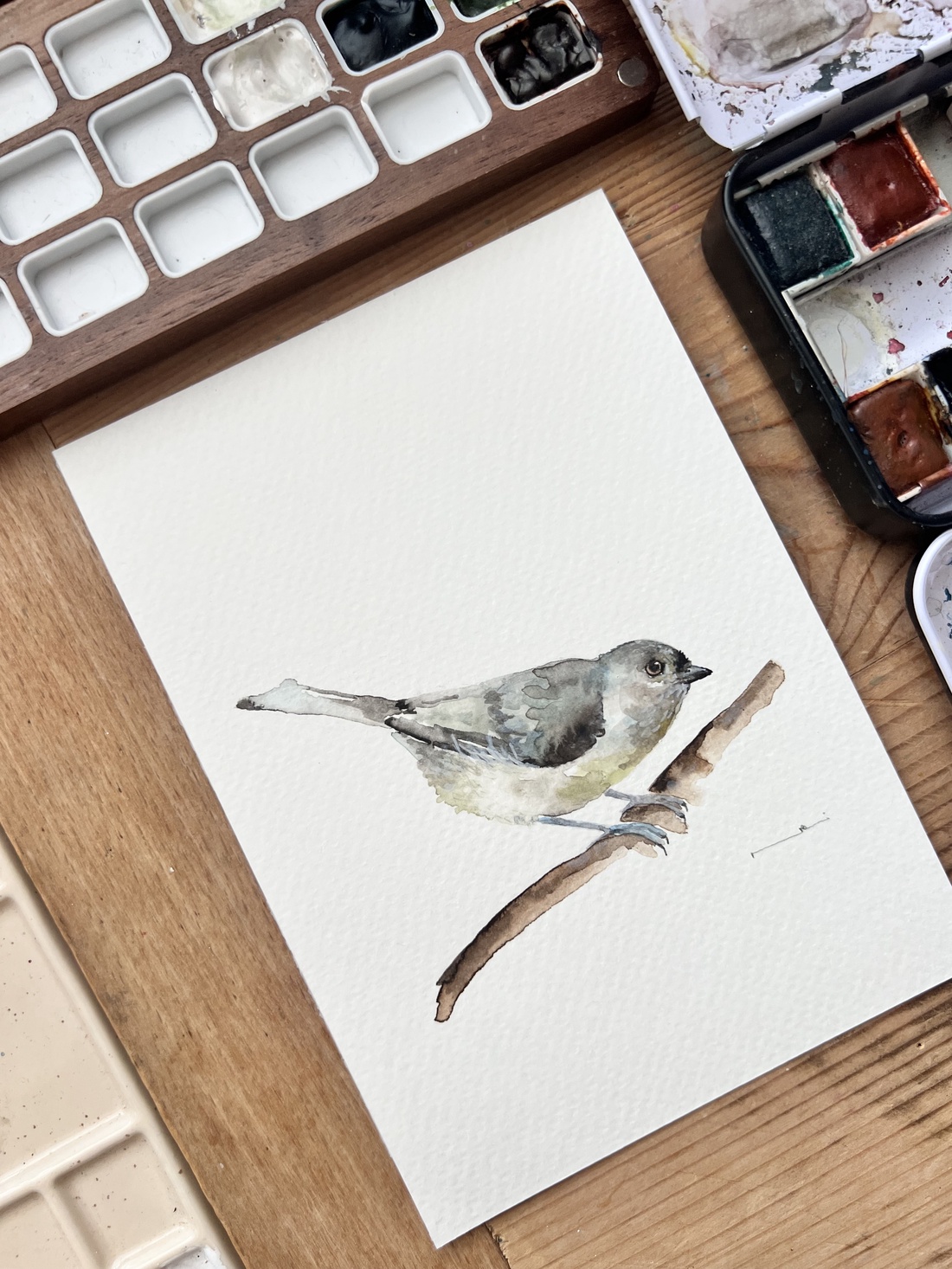 pictură originală în acuarelă de pasăre - arte vizuale și accesorii  - picturi - acuarele picturi - Artynos.ro