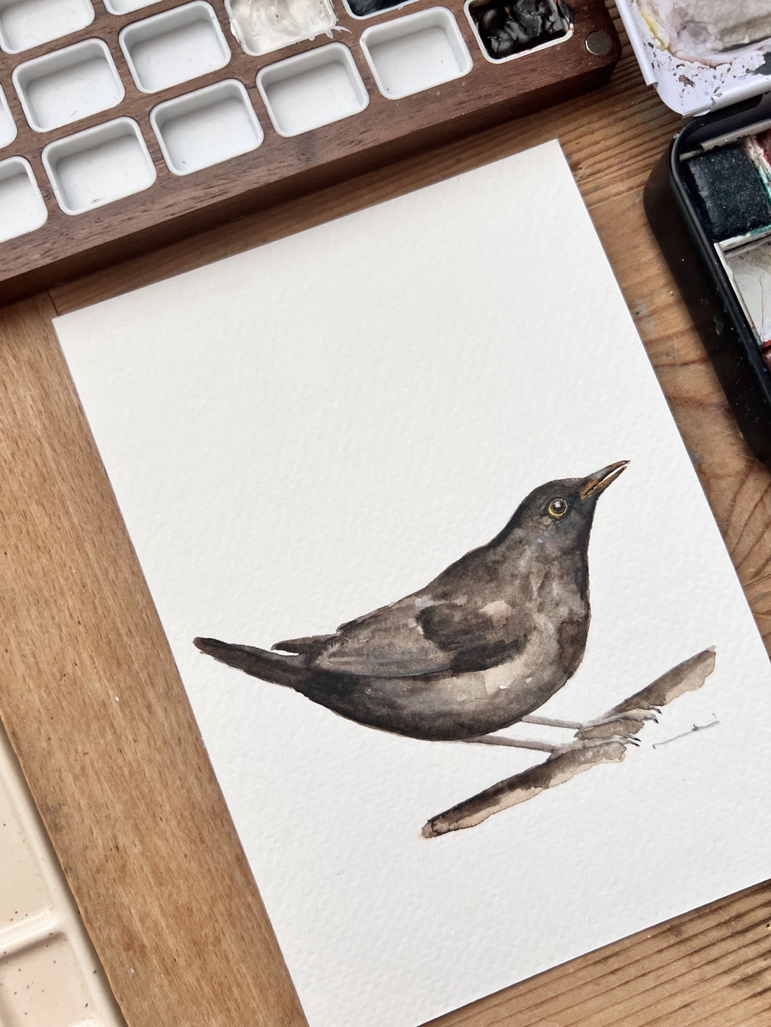 pictură originală în acuarelă de pasăre - arte vizuale și accesorii  - picturi - acuarele picturi - Artynos.ro